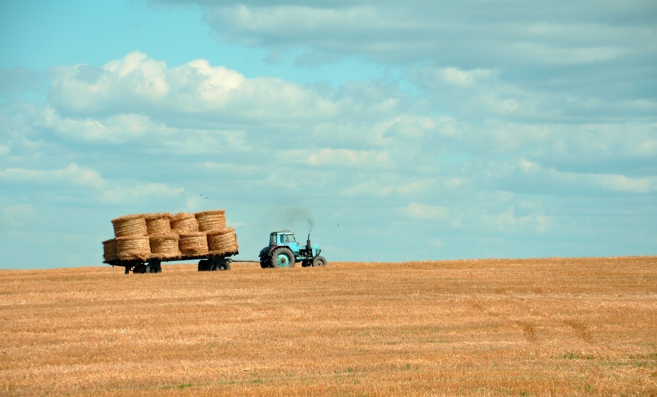 Nouvelle Aquitaine : Le Bon coin de l'agriculture