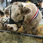 Salon International de l'Agriculture 2019