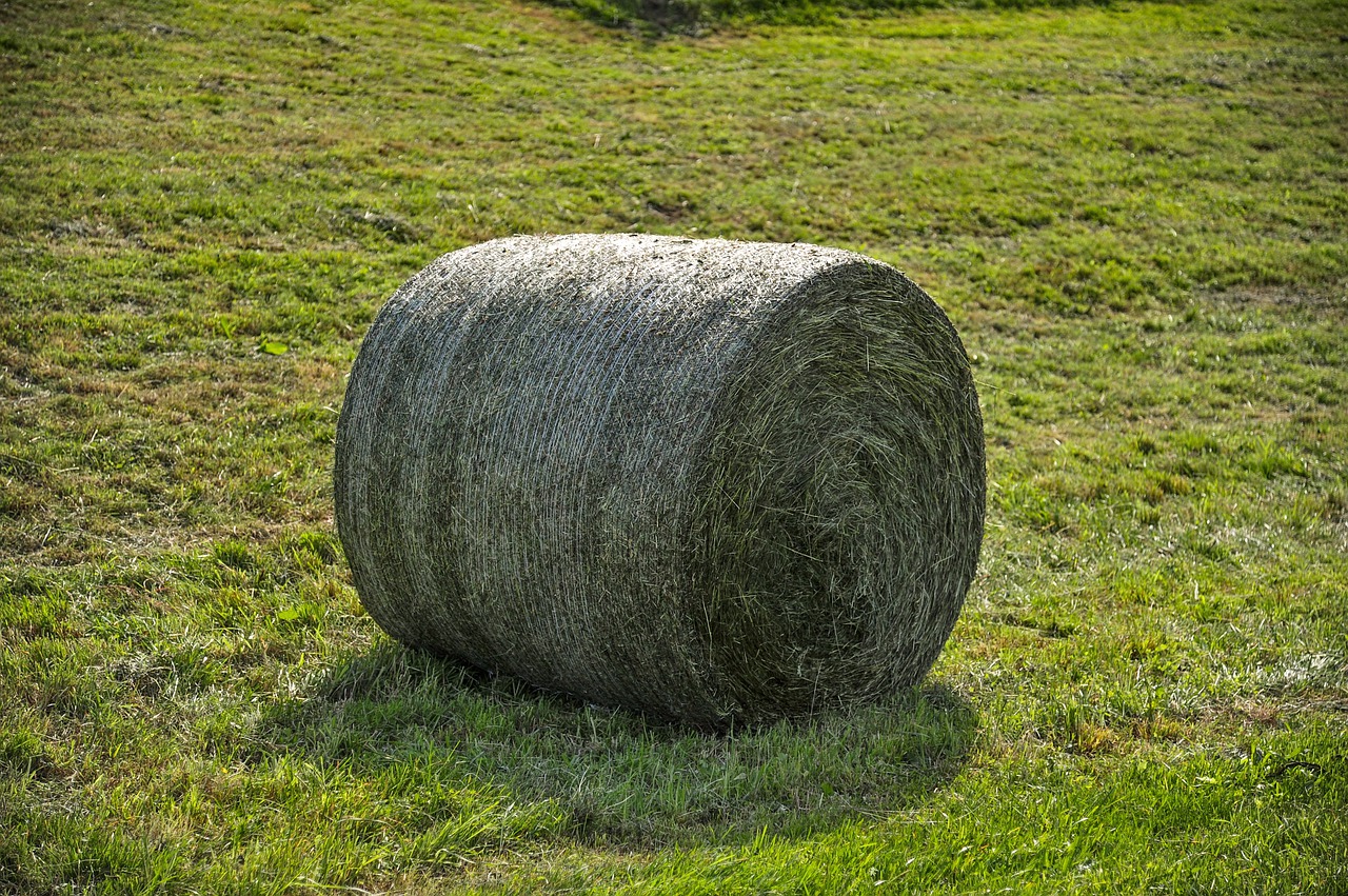 location enrubanneuse pour coupe d'herbe