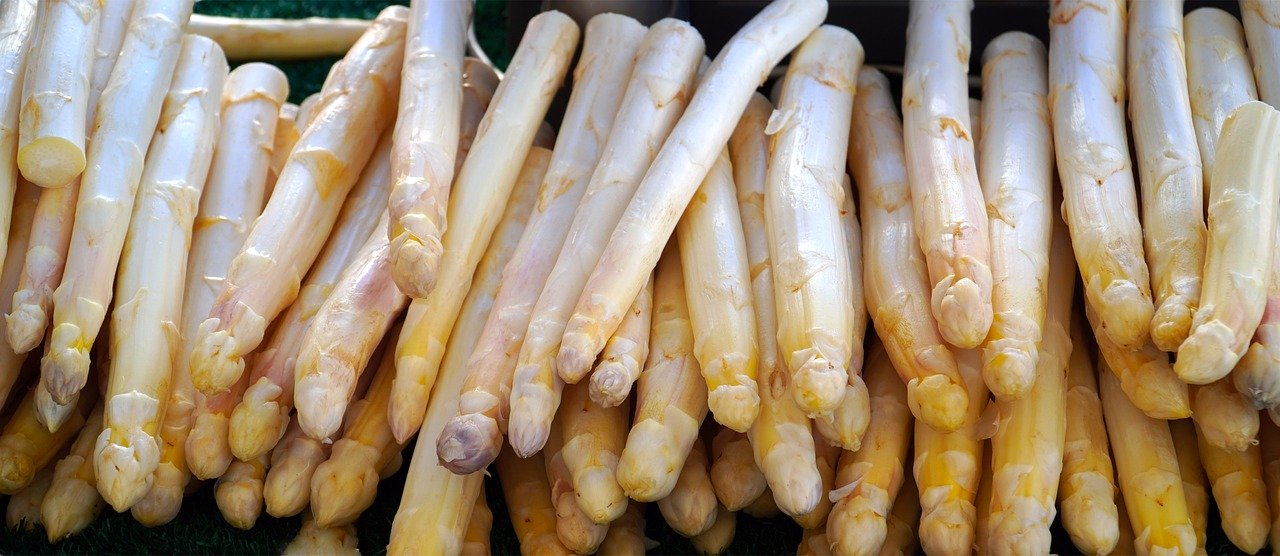 récolte d'asperges