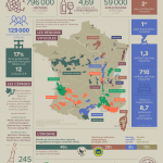 viticulture-france