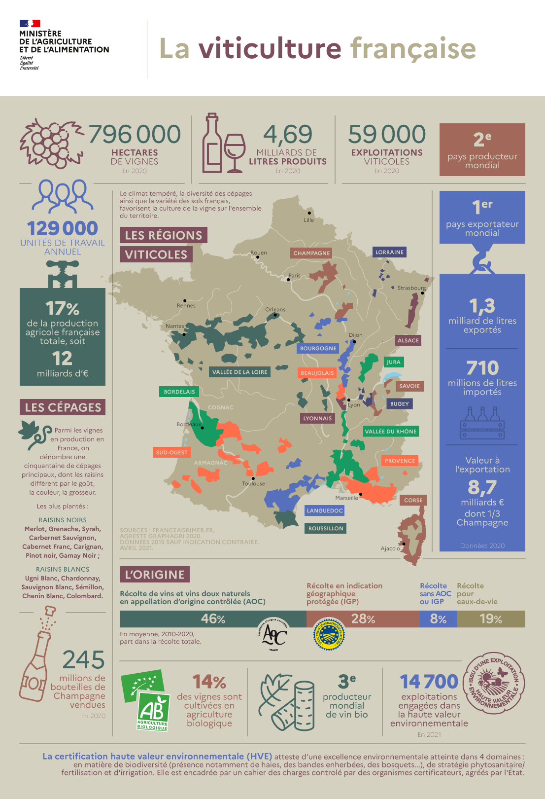 viticulture-france